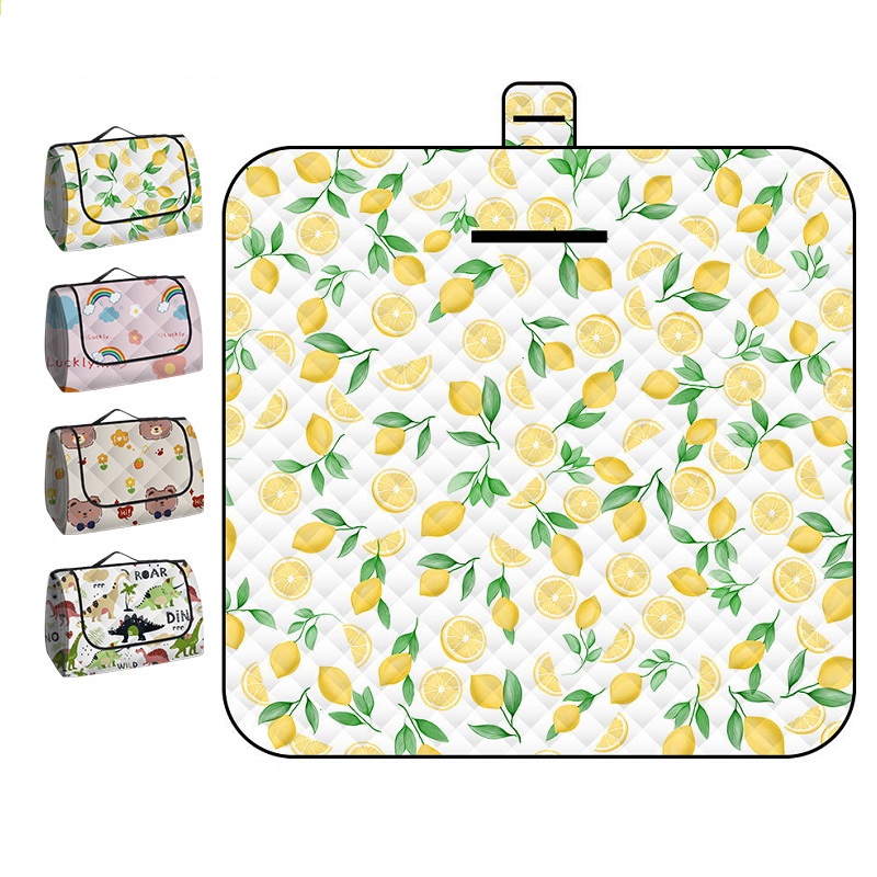 150*200CM Portable Picnic Mat  - Outdoor Camping Carpet 评论和价格